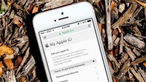 Read more about the article Hướng dẫn khôi phục mật khẩu Apple ID trong 30 giây