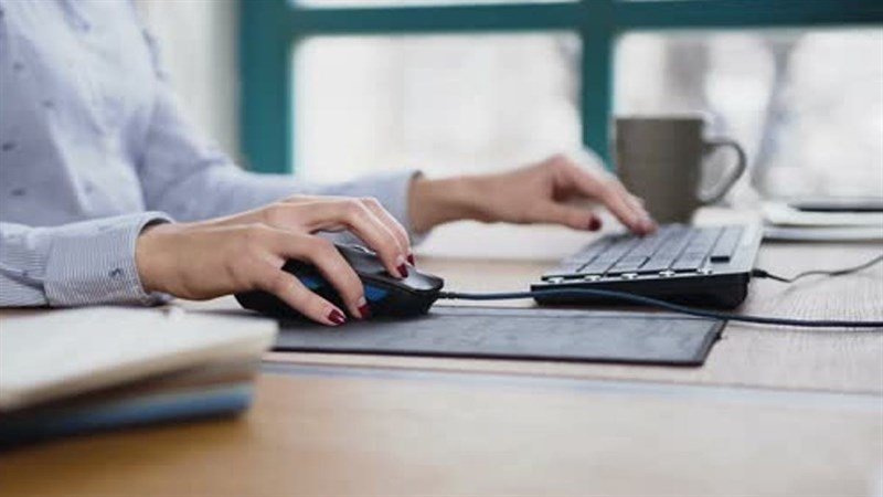 Hướng dẫn cách kiểm tra chuột chính xác Hướng dẫn cách kiểm tra chuột chính xác